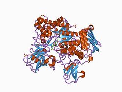 PDB 1c7t EBI.jpg