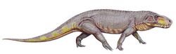 Prestosuchus-chiniquensis (2).jpg