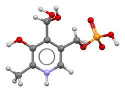 Pyridoxal-phosphate-from-xtal-3D-bs-17.png