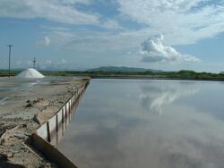 Salinas de Cabo Rojo, Puerto Rico.jpg