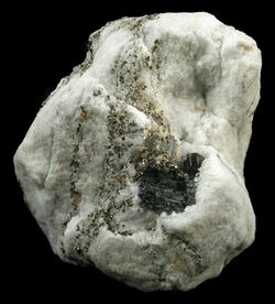 Sartorite-291300.jpg