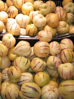 Solanum muricatum Lima Santa Isabel.jpg