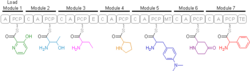Streptogramin B (modules).png