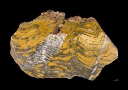 Stromatolithe Paléoarchéen - MNHT.PAL.2009.10.1.jpg