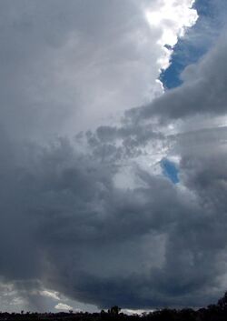 Thunderstorm over Wagga Wagga.jpg