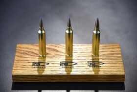 26-28-30 Nosler cartridges.jpg