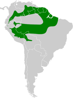 Anabacerthia ruficaudata map.svg