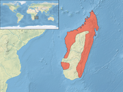 Aviceda madagascariensis distribution map.png