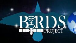 Birds Cubesat Logo.jpg
