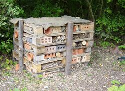 Bug Mansion, West Grinstead Station - geograph.org.uk - 226281.jpg