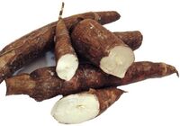Cassava (2).jpg