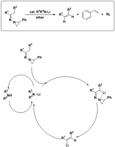 The Shapiro reaction with N-aziridinylhydrazones produces the alkene product, as well as stryrene and gaseous nitrogen as byproducts. The cycle of the catalytic Shapiro reaction is also shown.
