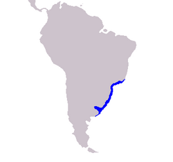 Map showing distribution along the Atlantic coast of southeastern South America
