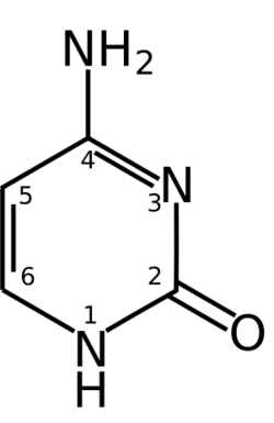 Cytosine chemical structure.svg