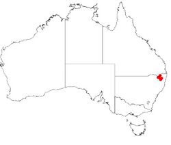 Hakea macrorrhyncha DistMap.jpg