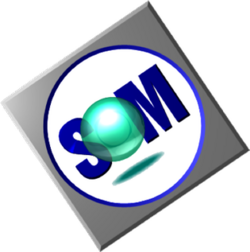 IBM SOM Logo