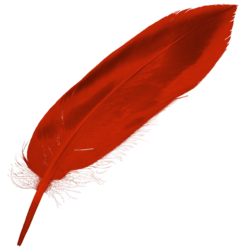 ICalamus feather 512x512.png