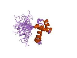 PDB 1vf9 EBI.jpg