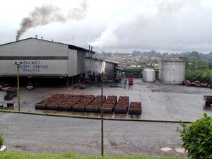 Palm oil factory in Aboisso