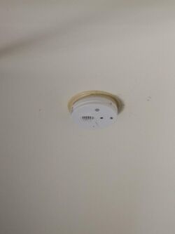 Residential heat detector.jpg
