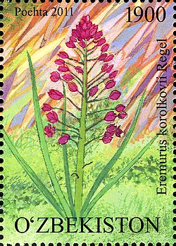 Stamps of Uzbekistan, 2011-08.jpg