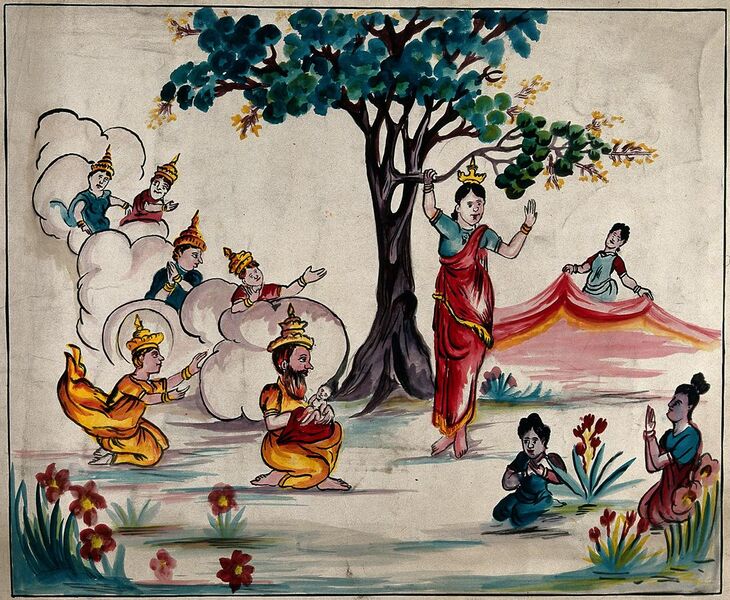 File:The birth of the Buddha; scene with Queen Maya Wellcome V0046076.jpg
