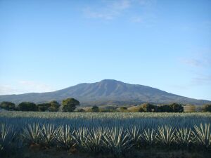 Volcán de Tequila, Jalisco.jpg