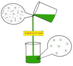 A simplified illustration of a purification technique of a Core-Shell Nanocrystals after synthesis.png