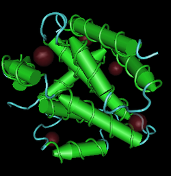 3D NIH Image of typical structure of "Alcelaphine gammaherpesvirus 2"