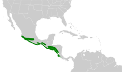 Calocitta formosa map.svg