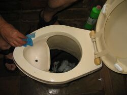 Cleaning a urine-diverting dry toilet (UDDT) in Johannesburg (2947142348).jpg