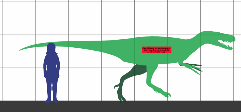 File:Dryptosaurus SIZE.png