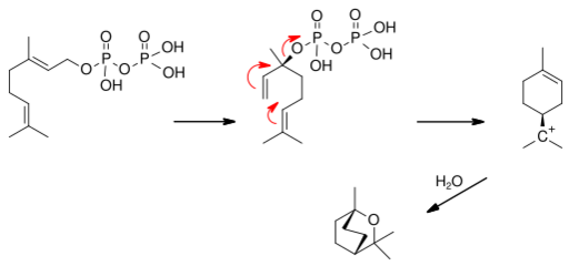 Eucalyptol synthesis.svg