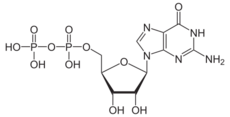 Skeletal formula of guanosine diphosphate