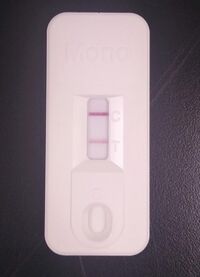 A white plastic cassette containing an opening for introducing a blood sample and a viewing window in which two pink lines, labelled "C" and "T", can be seen.