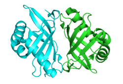 KSI PyMOL homodimer.png