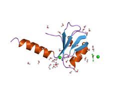 PDB 1tif EBI.jpg