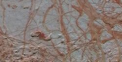 PIA20028 - Europa's varied surface features (rotated).jpg