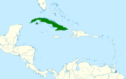 Priotelus temnurus map.svg