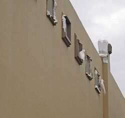 a number of white cockatoos are biting parts of the building wall, leaving chunks of polystyrene missing.