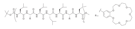 VoyerHelicalPeptide.svg