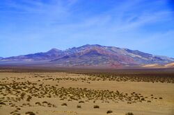 Yucca Range (19951050626).jpg