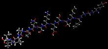 Alpha endorphin stick molecular model.png