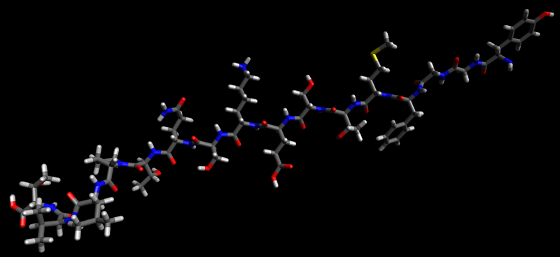 File:Alpha endorphin stick molecular model.png