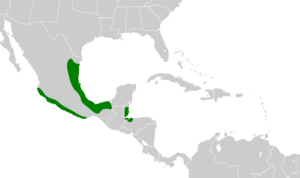 Amazona oratrix map.svg