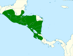 Cantorchilus modestus map.svg