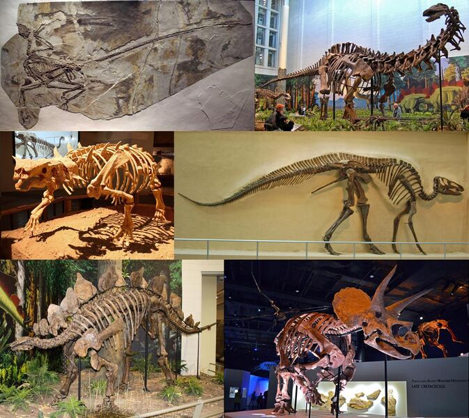 File:Dinosauria montage 2.jpg