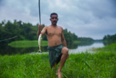 Fisherman with his catch of the commonly found Paral Fish (Dawkinsia filamentosa) from the Chalakudy River