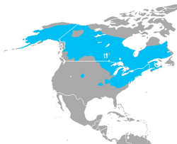 Rana sylvatica range.png