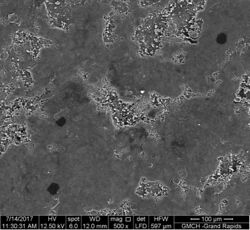 SEM image of the surface of a Mentos candy.
